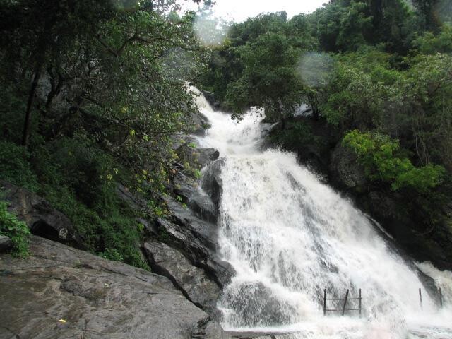 monkey falls coimbatore