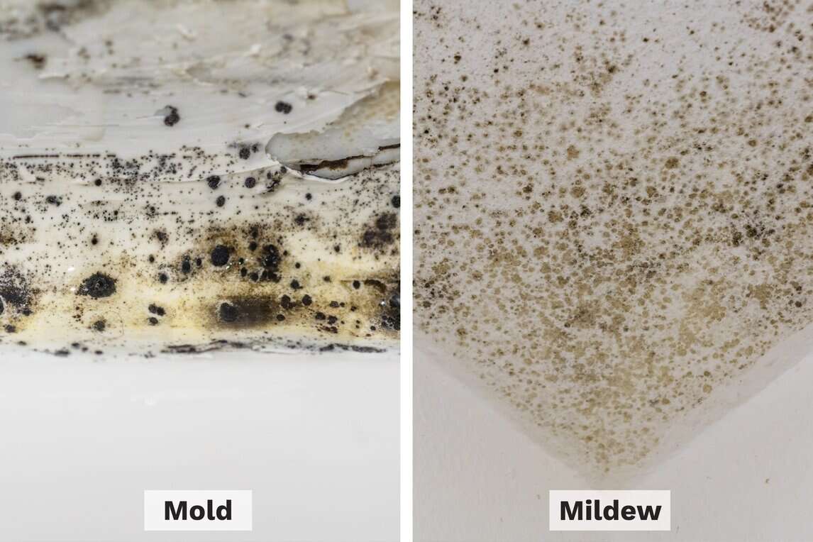 mould types