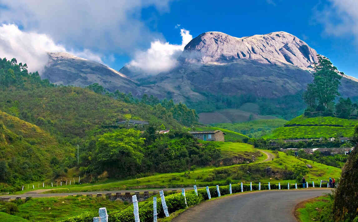 munnar  august
