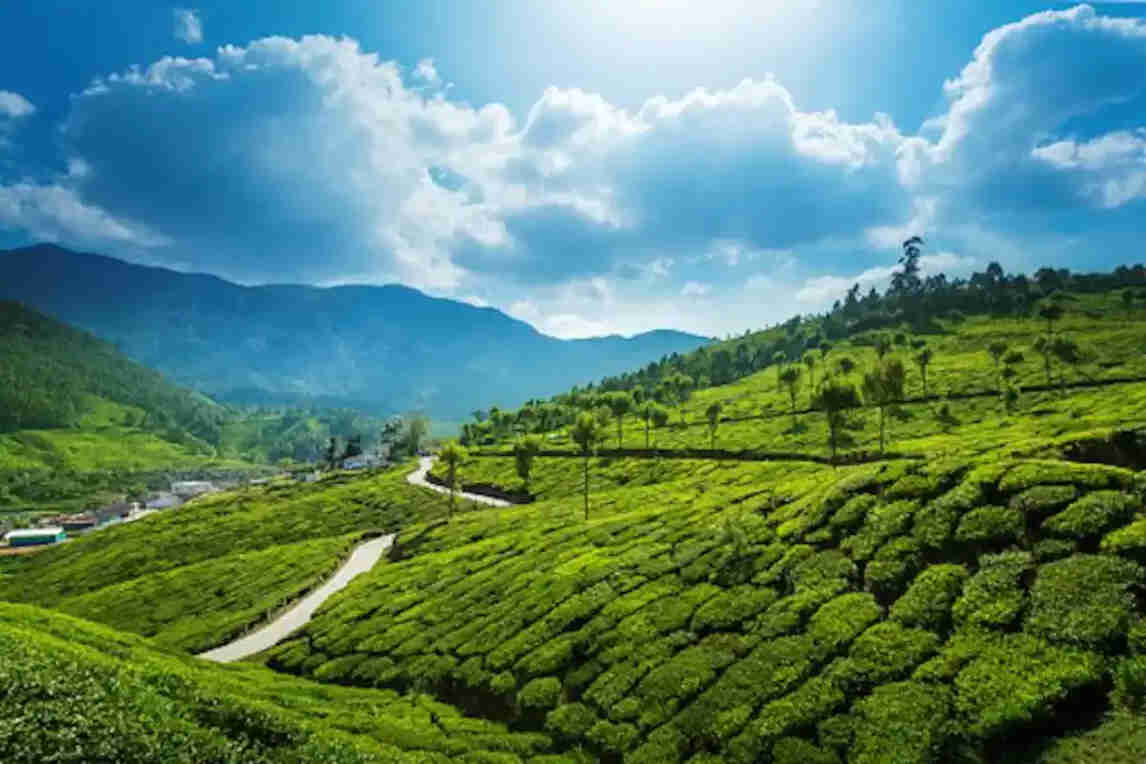 munnar image