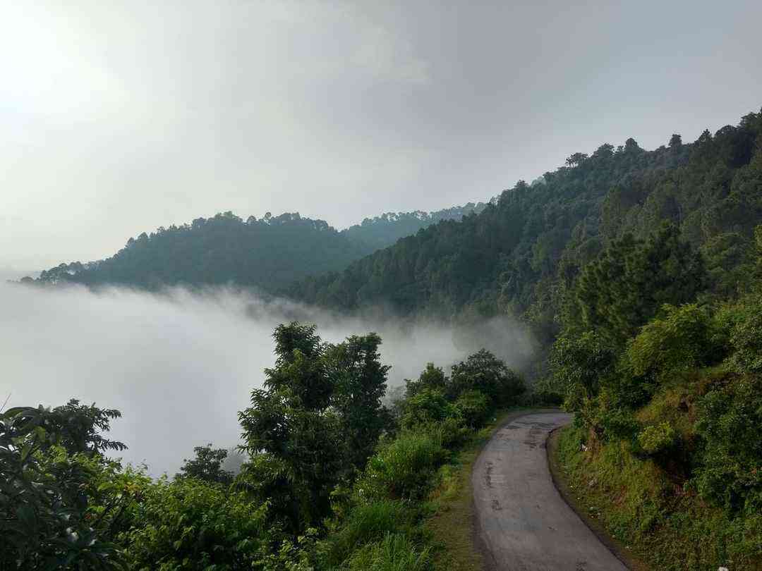 nahan image