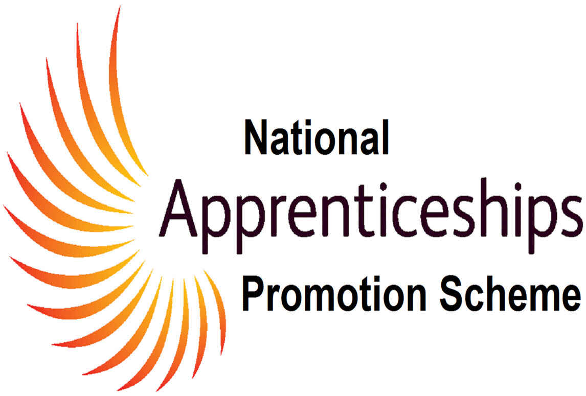 naps apprenticeships