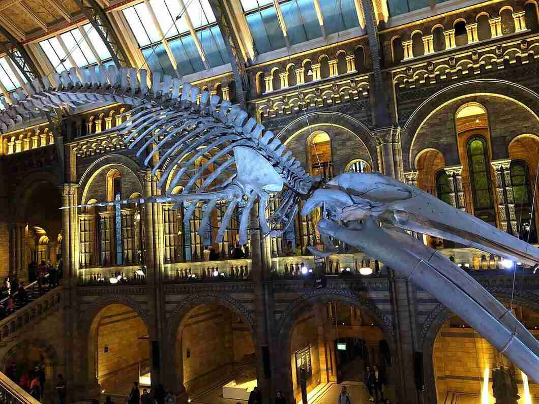 national museum1