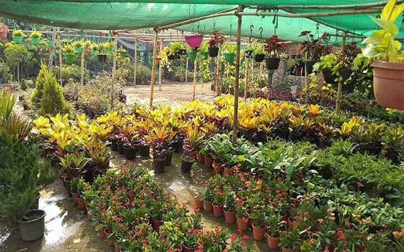 nursery