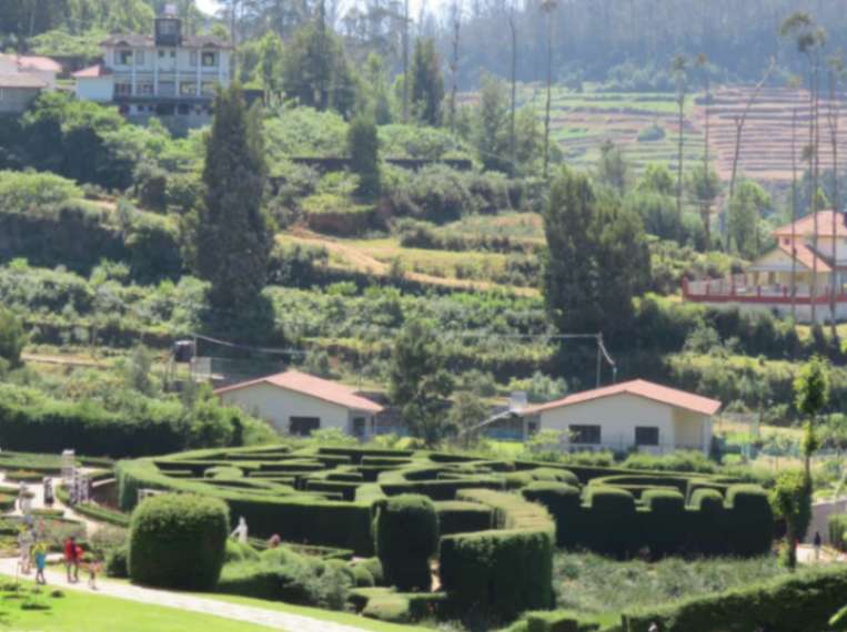 ooty