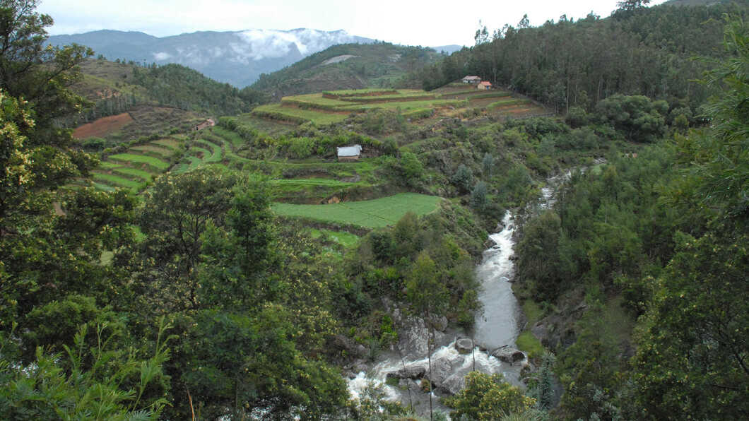 pambar falls coimbatore