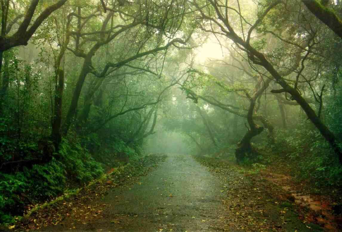 panchgani jan
