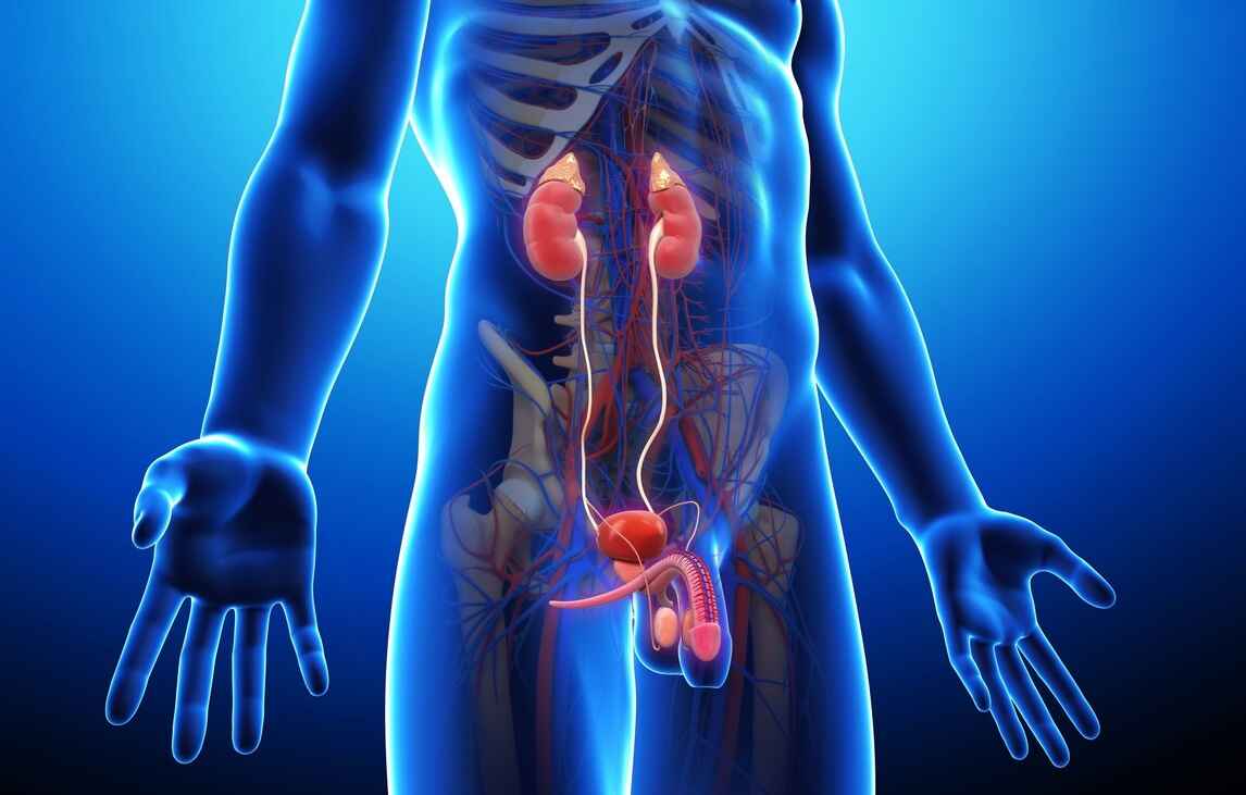 Phimosis Symptoms, Causes, and Treatment