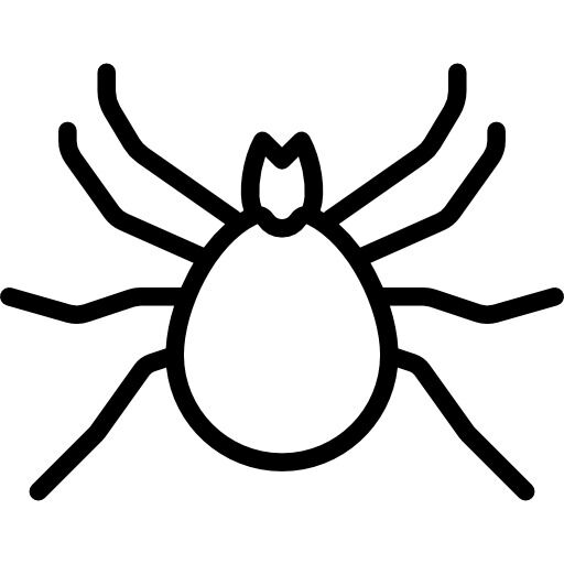 insects