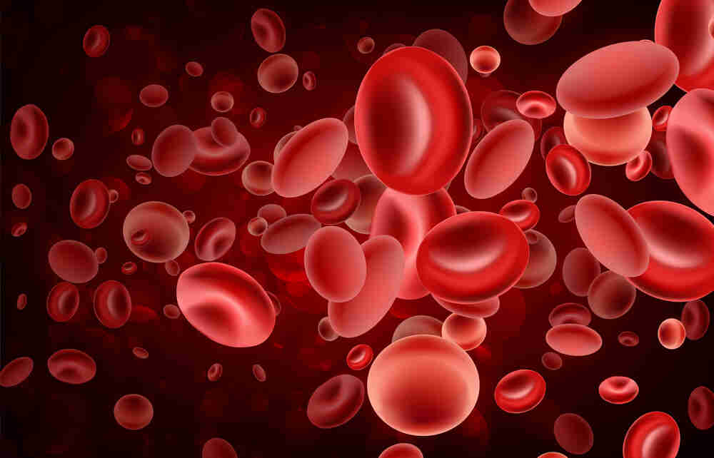 PLT Count Blood Test Purpose & How To Check Platelet Counts