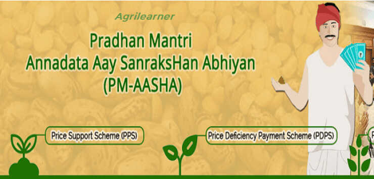 pm aasha