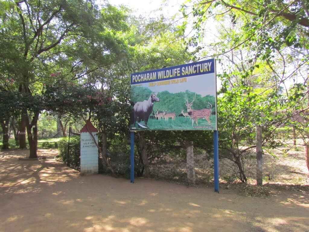 pocharam wildlife sanctuary hyderabad