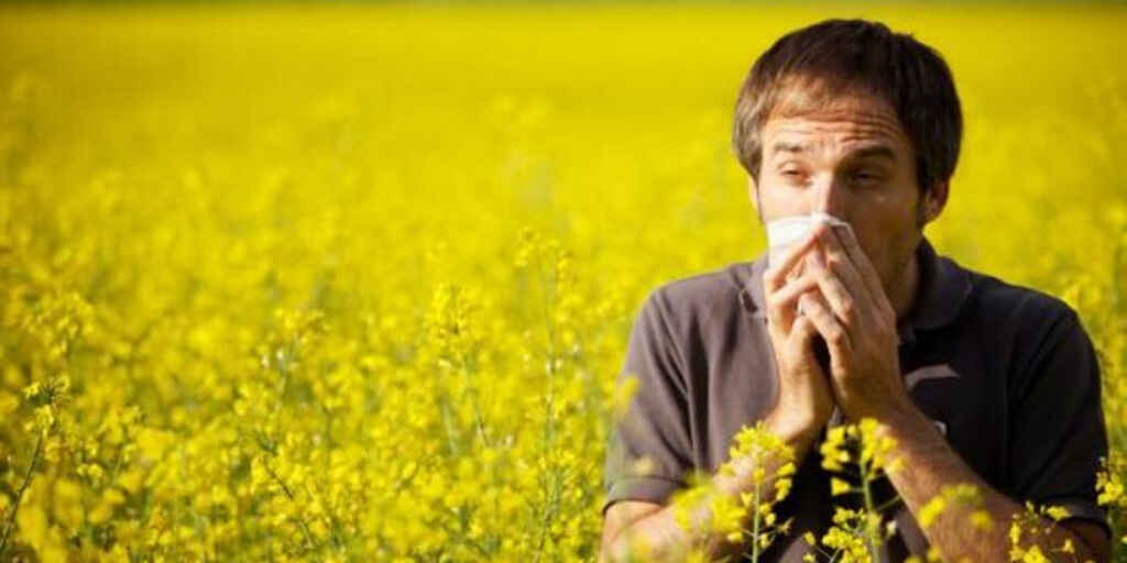 Pollen Allergy Cause, Symptoms, Treatment and Prevention of Pollen Allergy