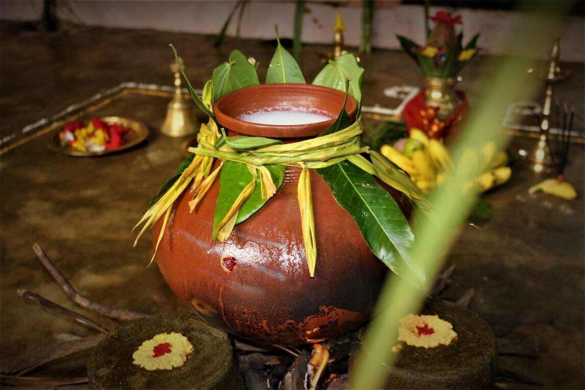 pongal