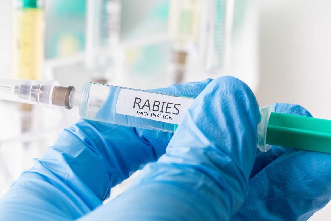 rabies-vaccine-benefits-purpose-dosage