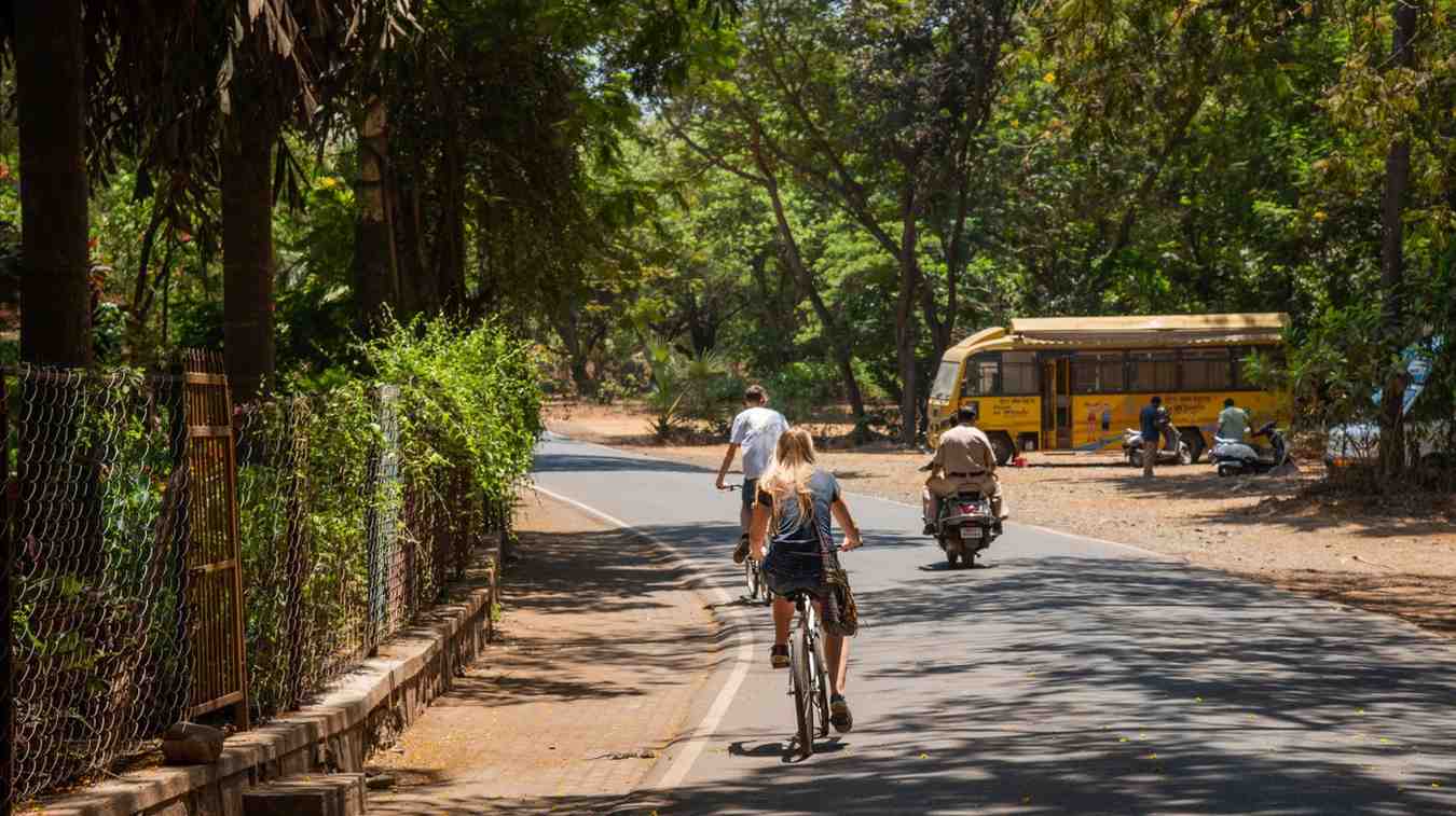 sanjay gandhi national park