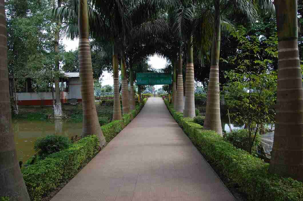 tinsukia
