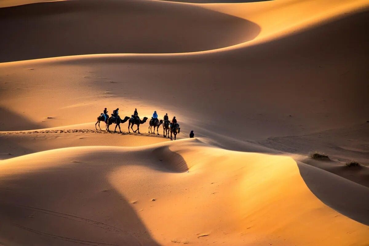 tour guide agency