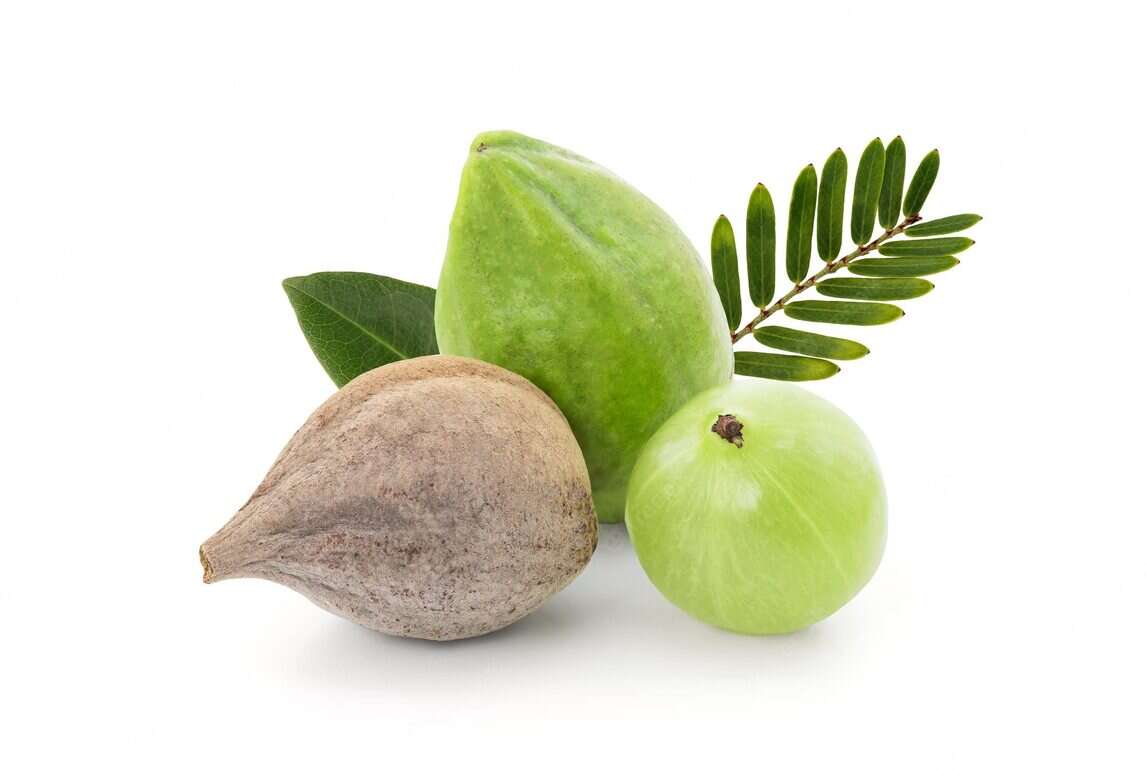 Benefits of Triphala Usage & Side effects