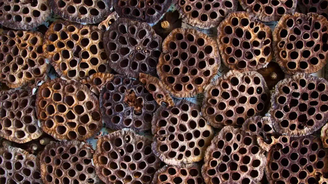 What is Trypophobia and How it Can Affect Your Mental Health