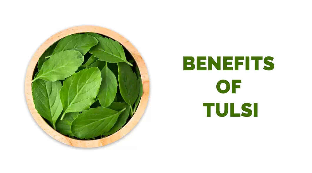 Health Benefits of Tulsi Nutritional Values & Benefits