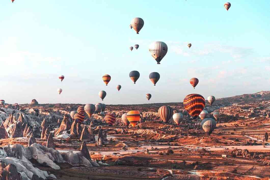 turkey