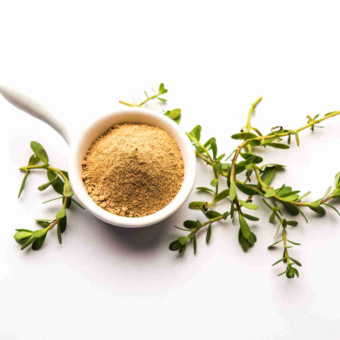 Benefits of Brahmi Usage & Side effects