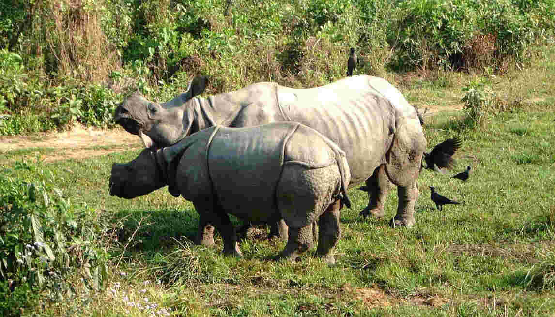vaimiki national park