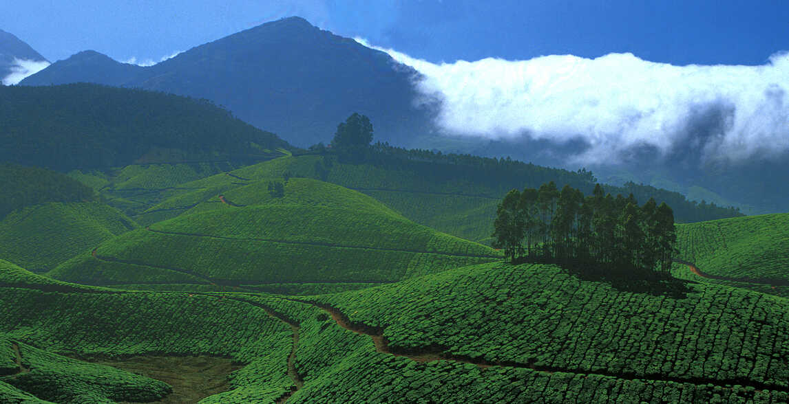 western ghats heritage site