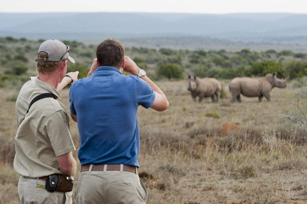 wildlife safaris in south africa