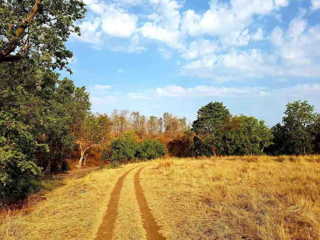 yawal wildlife sanctuary