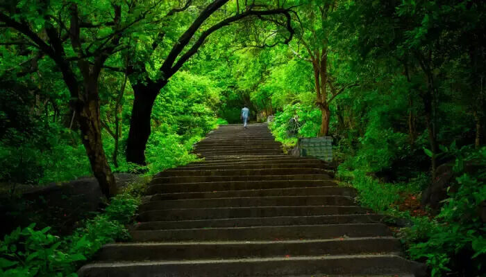 yelagiri nature park