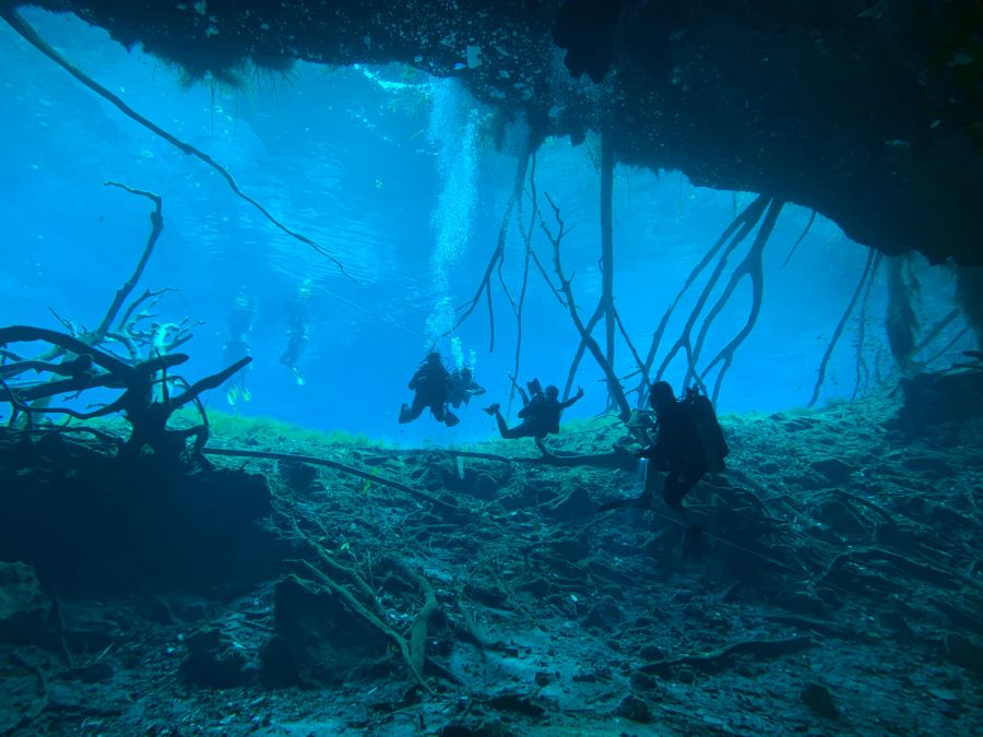 scuba divers exploring underwater