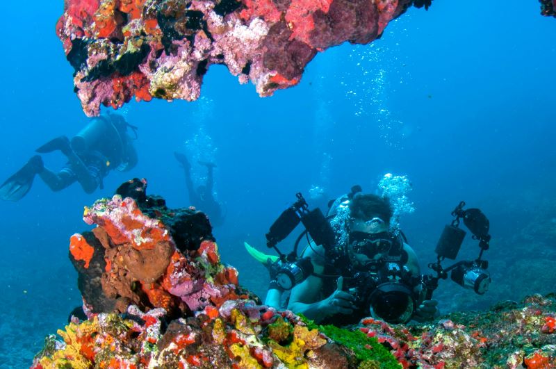 scuba diver capturing coral reef with camera
