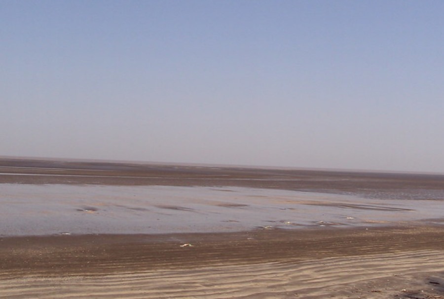 dahanu beach in palghar