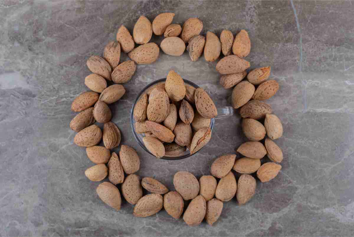 Dairy Products and Nuts for Dengue