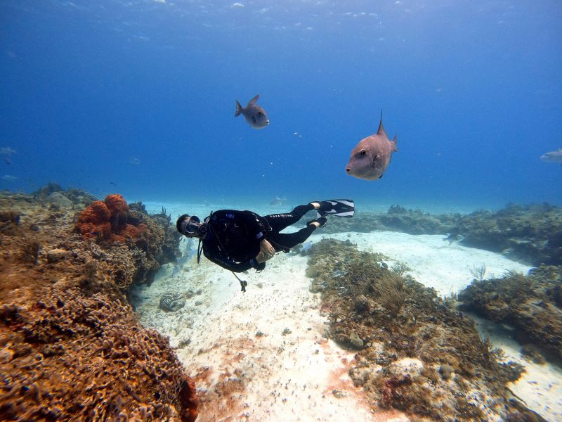 a scuba diver and two fishes with him