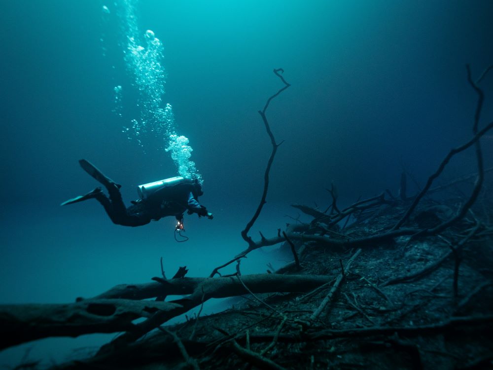 a scuba diver exploring the sea