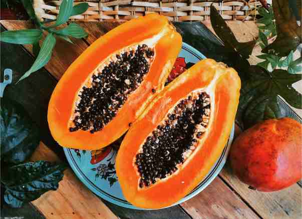 Fruits for Dengue