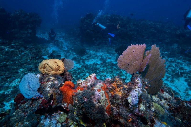 view from underwater of sea