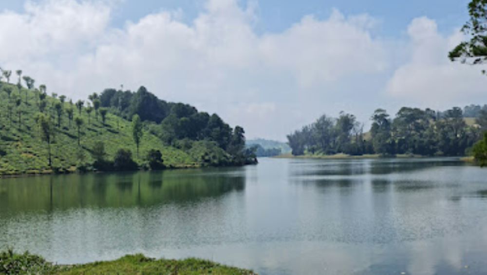 glenmorgan in green