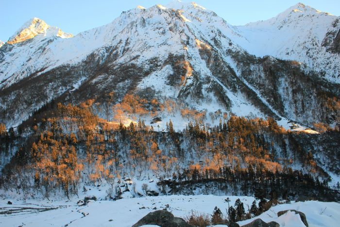 snow covered mountain har ki dun