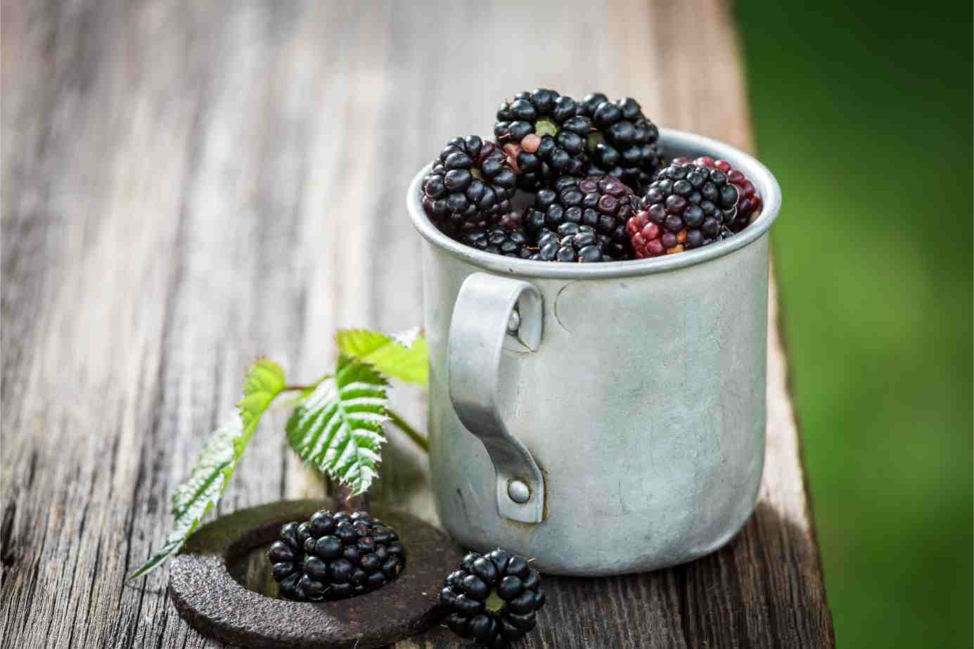 Vitamin K Rich Fruits