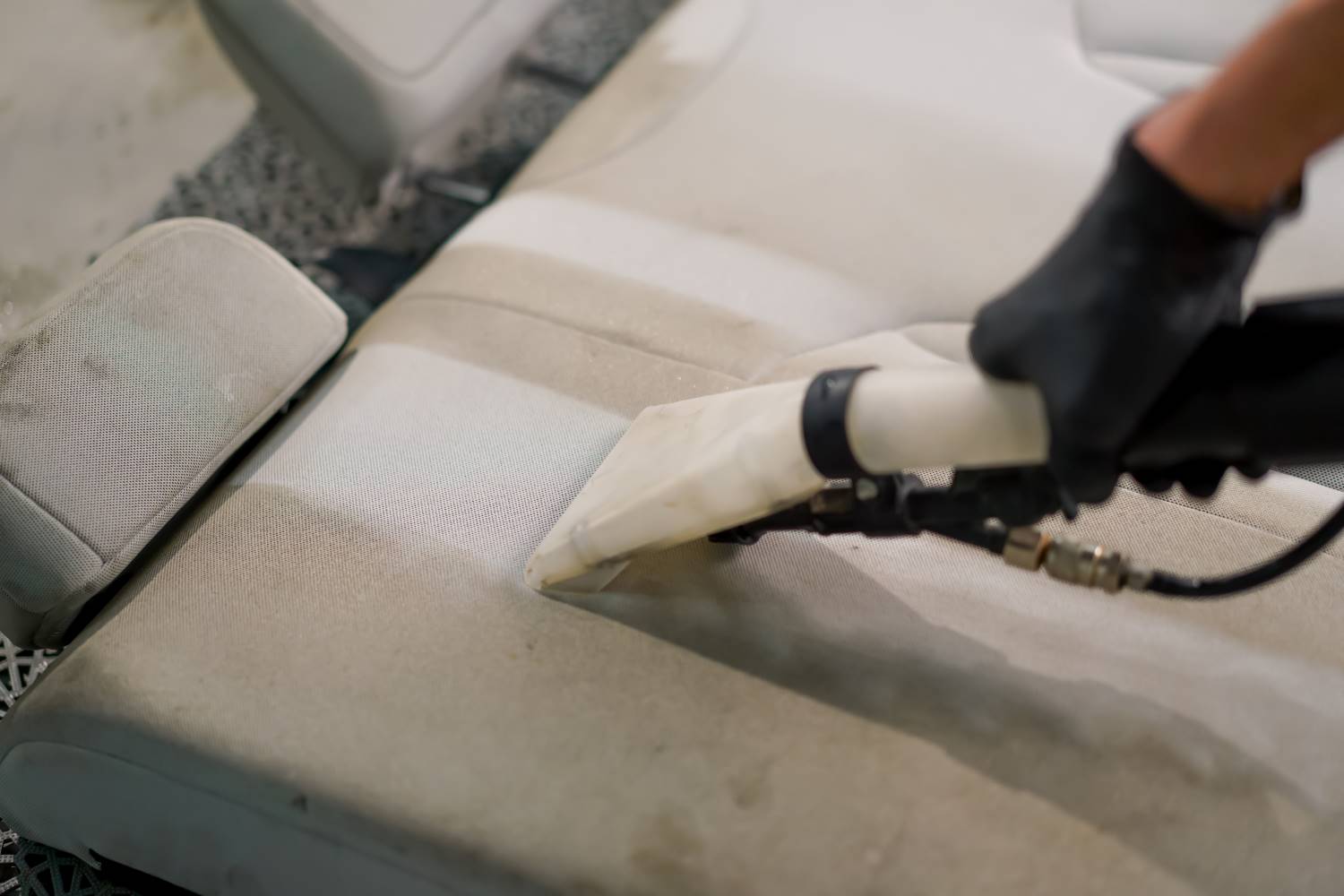 how to remove mould from your car interior