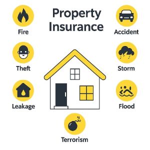 Property Insurance