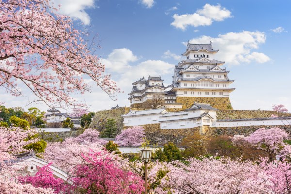 japanese monestary and flower