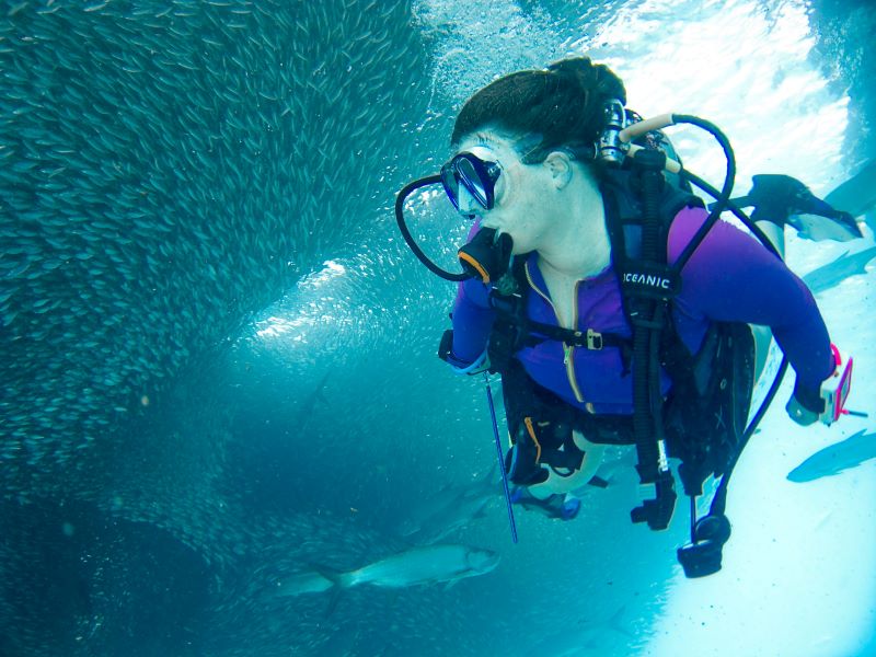 female scuba diver near to a bunch of fishes