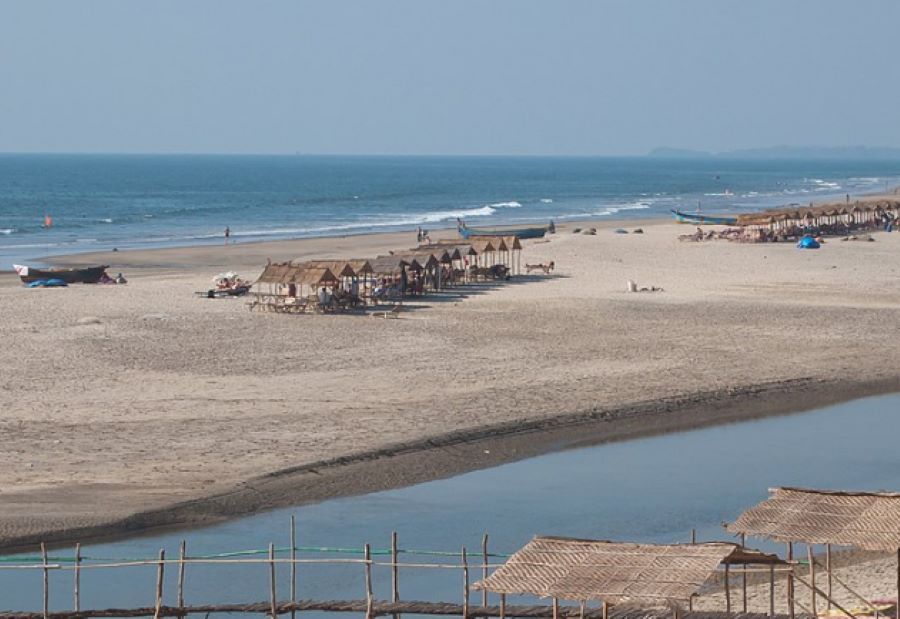 mandrem beach in north goa