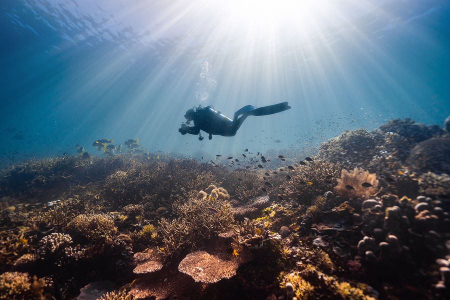 female scuba diver exploring sea