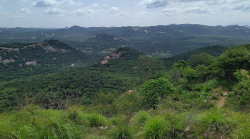 musattu hills